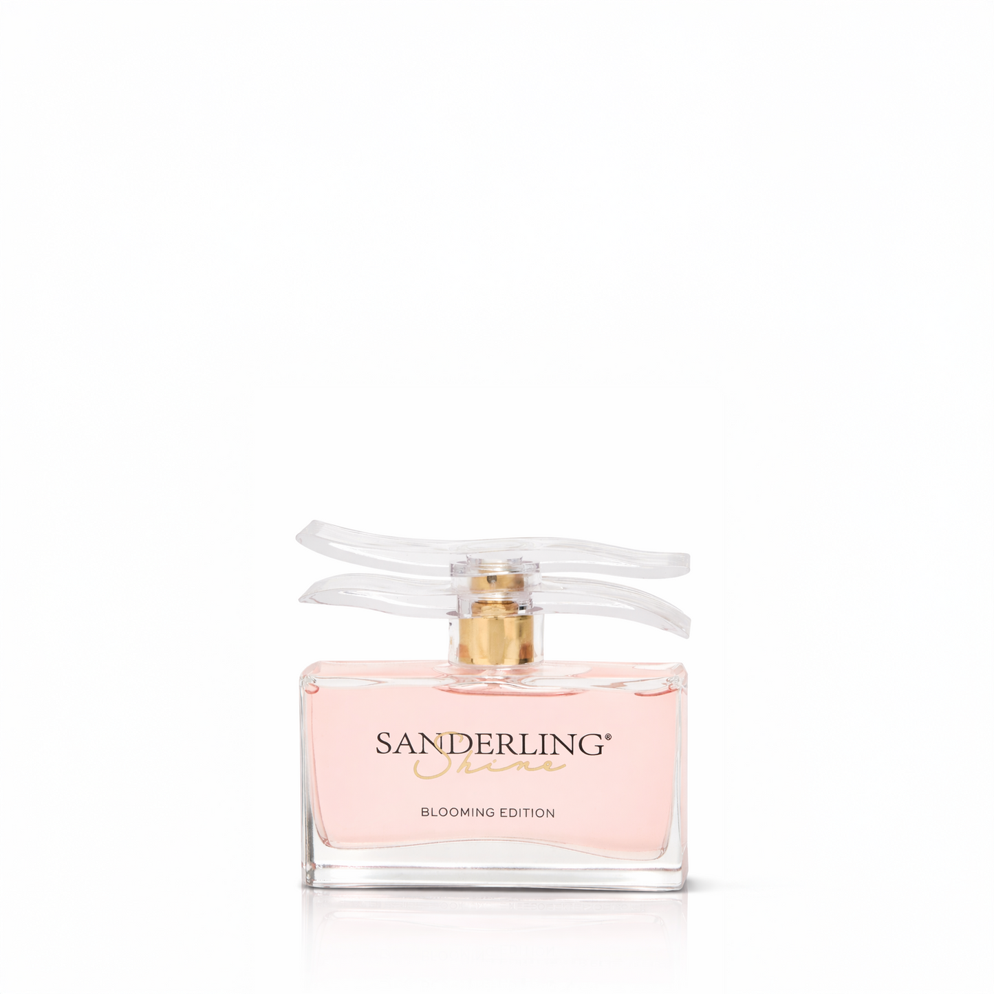 SANDERLING SHINE BLOOMING EDITION